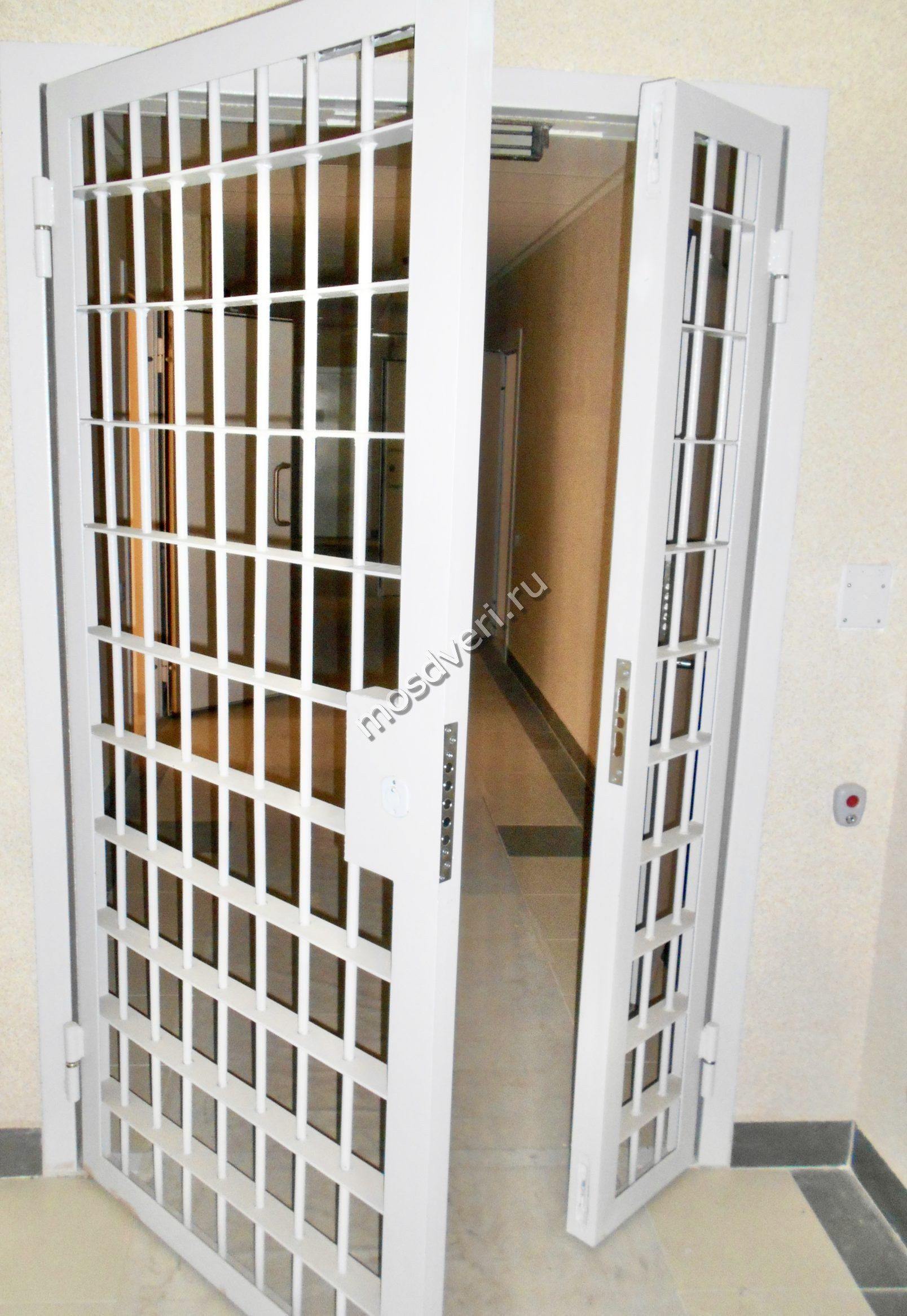 ����� ����� 3 ������ ������ ��� ���������